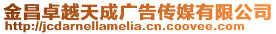 金昌卓越天成廣告?zhèn)髅接邢薰? style=