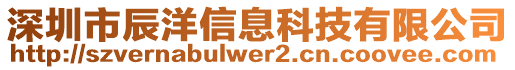 深圳市辰洋信息科技有限公司