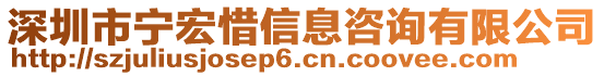 深圳市寧宏惜信息咨詢有限公司