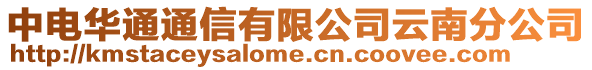 中電華通通信有限公司云南分公司