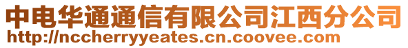 中電華通通信有限公司江西分公司