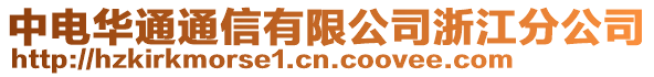 中電華通通信有限公司浙江分公司