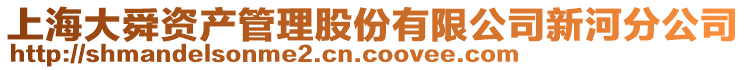 上海大舜資產管理股份有限公司新河分公司