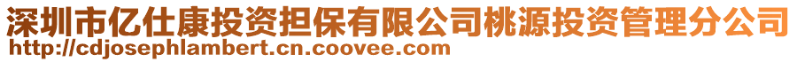 深圳市億仕康投資擔(dān)保有限公司桃源投資管理分公司