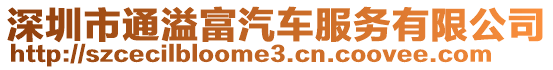 深圳市通溢富汽車服務有限公司