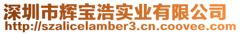 深圳市輝寶浩實業(yè)有限公司