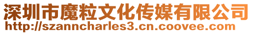 深圳市魔粒文化傳媒有限公司