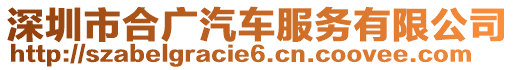 深圳市合廣汽車服務有限公司