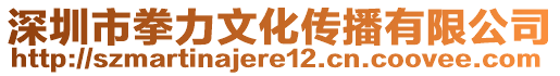 深圳市拳力文化傳播有限公司