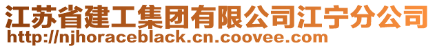 江蘇省建工集團(tuán)有限公司江寧分公司