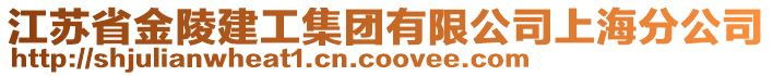 江蘇省金陵建工集團有限公司上海分公司