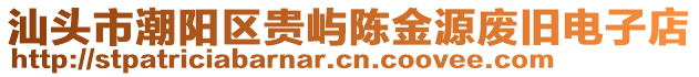 汕頭市潮陽區貴嶼陳金源廢舊電子店
