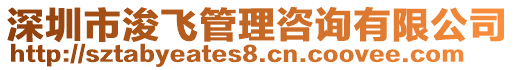 深圳市浚飛管理咨詢有限公司