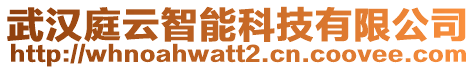 武漢庭云智能科技有限公司