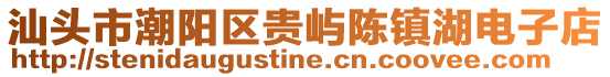 汕頭市潮陽區貴嶼陳鎮湖電子店