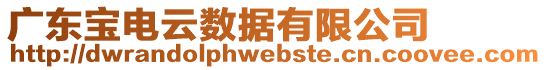 廣東寶電云數據有限公司