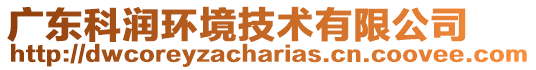 廣東科潤(rùn)環(huán)境技術(shù)有限公司