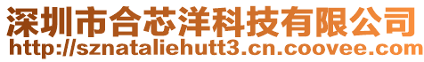 深圳市合芯洋科技有限公司