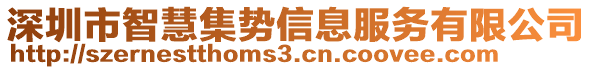 深圳市智慧集勢信息服務有限公司