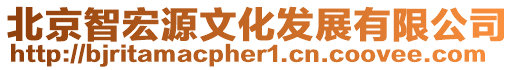 北京智宏源文化發展有限公司
