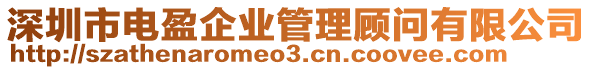 深圳市電盈企業(yè)管理顧問(wèn)有限公司