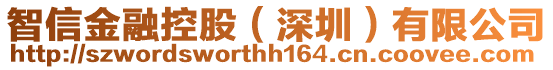 智信金融控股(深圳)有限公司