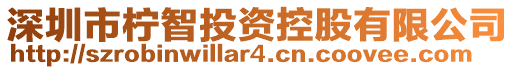 深圳市檸智投資控股有限公司