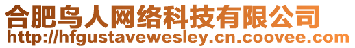 合肥鳥人網(wǎng)絡(luò)科技有限公司