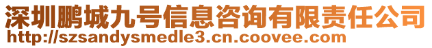 深圳鵬城九號(hào)信息咨詢有限責(zé)任公司