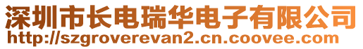深圳市長電瑞華電子有限公司