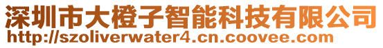 深圳市大橙子智能科技有限公司