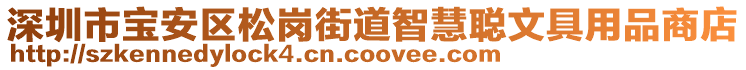 深圳市寶安區(qū)松崗街道智慧聰文具用品商店