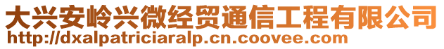 大興安嶺興微經(jīng)貿(mào)通信工程有限公司