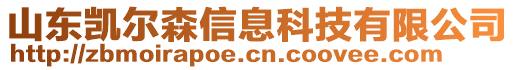 山東凱爾森信息科技有限公司