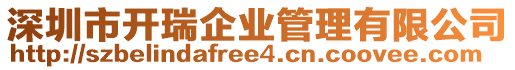 深圳市開瑞企業(yè)管理有限公司