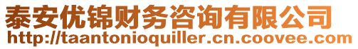 泰安優(yōu)錦財(cái)務(wù)咨詢有限公司