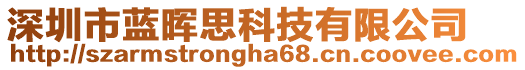 深圳市藍(lán)暉思科技有限公司