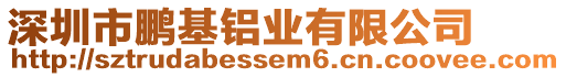 深圳市鵬基鋁業(yè)有限公司