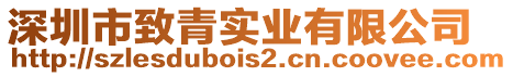深圳市致青實(shí)業(yè)有限公司