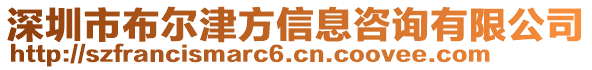 深圳市布爾津方信息咨詢有限公司