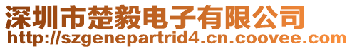 深圳市楚毅電子有限公司