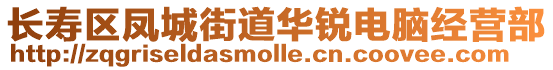 長壽區(qū)鳳城街道華銳電腦經(jīng)營部