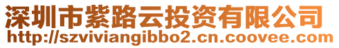 深圳市紫路云投資有限公司