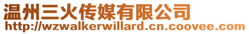 溫州三火傳媒有限公司