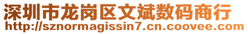 深圳市龍崗區(qū)文斌數(shù)碼商行