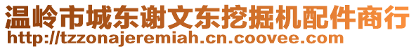 溫嶺市城東謝文東挖掘機(jī)配件商行