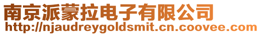 南京派蒙拉電子有限公司