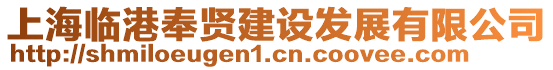 上海臨港奉賢建設(shè)發(fā)展有限公司