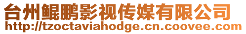 臺州鯤鵬影視傳媒有限公司