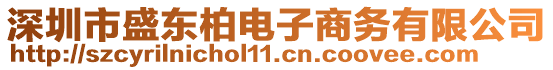 深圳市盛東柏電子商務有限公司